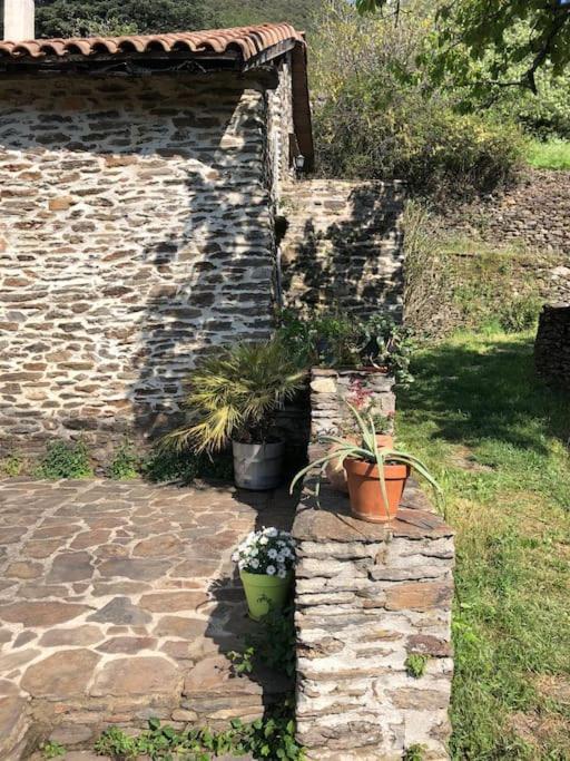 Maison Rurale Au Coeur Des Cevennes Ardechoises Dompnac Exterior foto